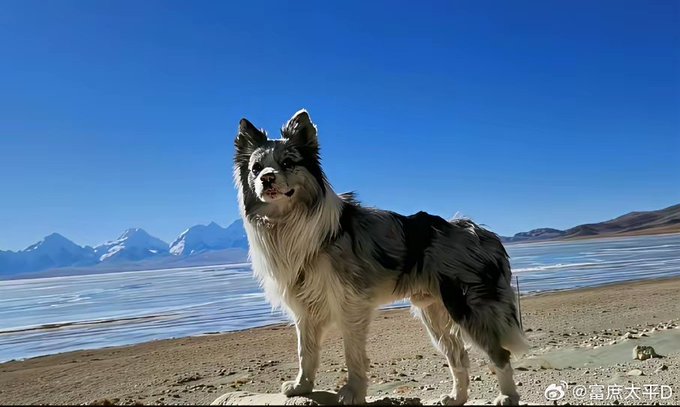 Chutou standing by a mountain lake